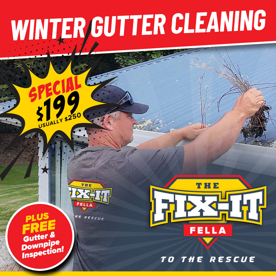 WINTER GUTTER CLEANING SPECIAL