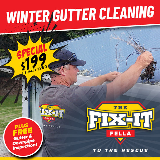 WINTER GUTTER CLEANING SPECIAL