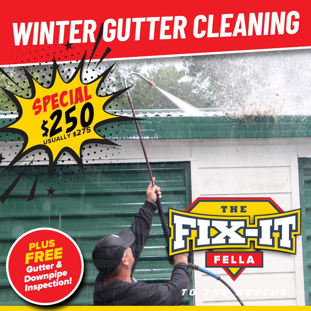 WINTER GUTTER CLEANING SPECIAL